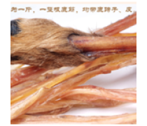 鹿副产品原料 100克的力量，自然的馈赠与产业新机