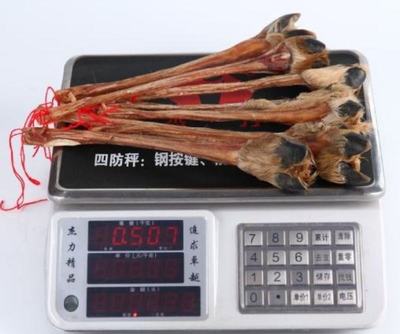 探寻东北珍馐 吉林长春双阳区鹿筋批发全解析