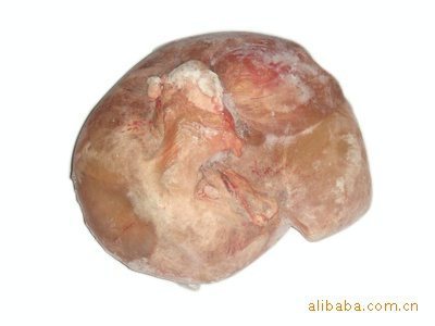 鹿副产品鲜鹿胎---美容养颜、宫冷不孕_双阳区盈俐鹿产品经销部